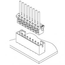 Wire to Board /  CK - Schema