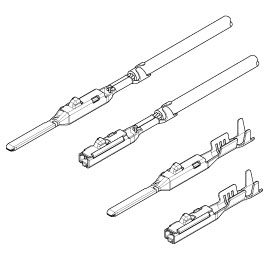 Chains terminals /  MSA Terminal - Schema